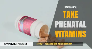 Optimizing Prenatal Health: When to Start Taking Prenatal Vitamins