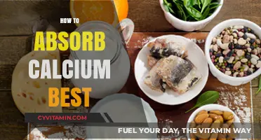 Maximize Calcium Absorption: Essential Tips for Stronger Bones and Health
