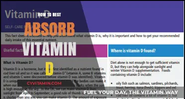 Maximize Your Vitamin D Absorption: Essential Tips for Optimal Health