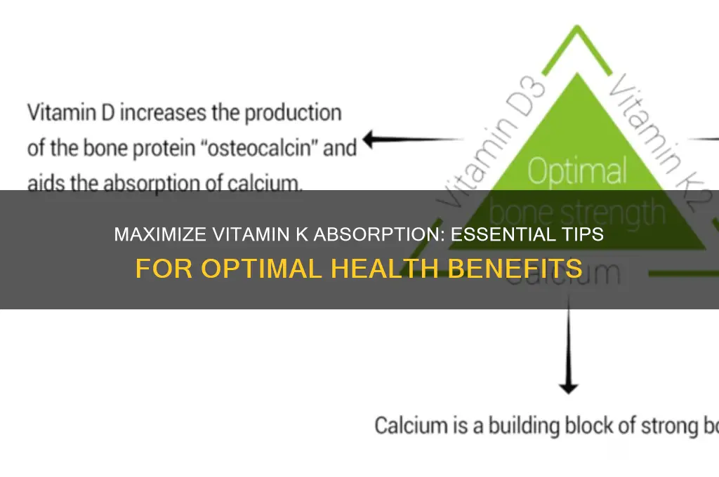 how to best absorb vitamin k
