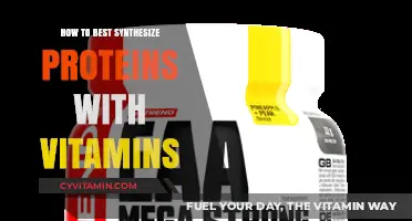 Optimize Protein Synthesis: Combining Vitamins for Enhanced Results
