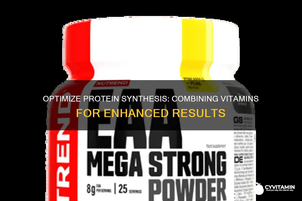 how to best synthesize proteins with vitamins