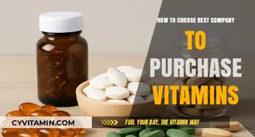 Selecting the Ideal Vitamin Company: A Comprehensive Buyer's Guide