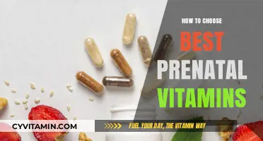 Choosing the Best Prenatal Vitamins: A Comprehensive Guide for Moms-to-Be
