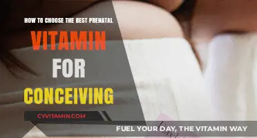 Choosing the Perfect Prenatal Vitamin for a Healthy Conception Journey
