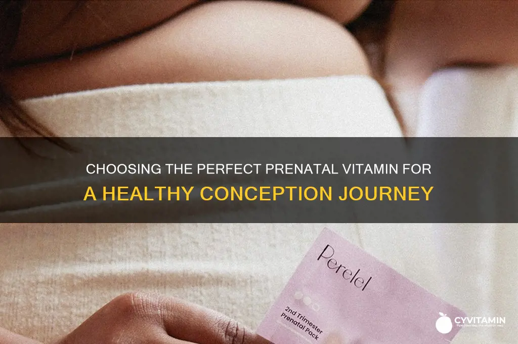 how to choose the best prenatal vitamin for conceiving