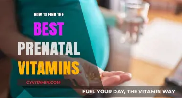 Choosing the Right Prenatal Vitamins for a Healthy Pregnancy Journey