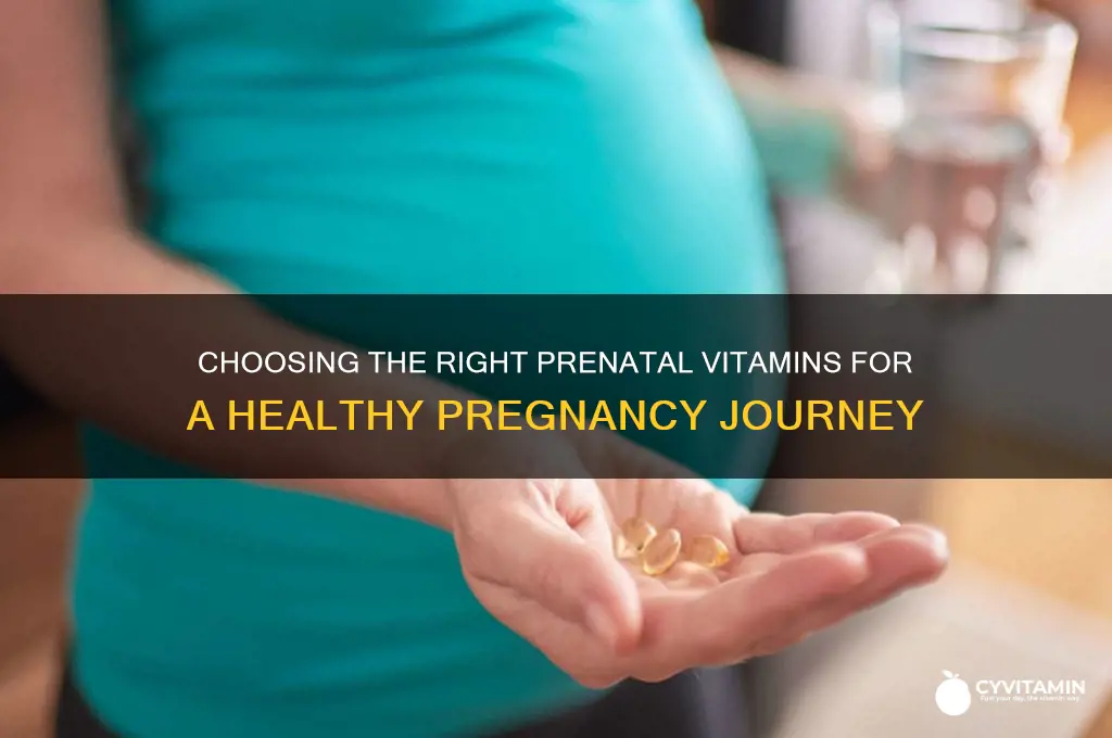 how to find the best prenatal vitamins