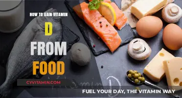 Sunlight on a Plate: Foods Rich in Vitamin D