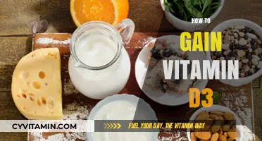 Sunlight and Supplements: Your Guide to Boosting Vitamin D3 Levels