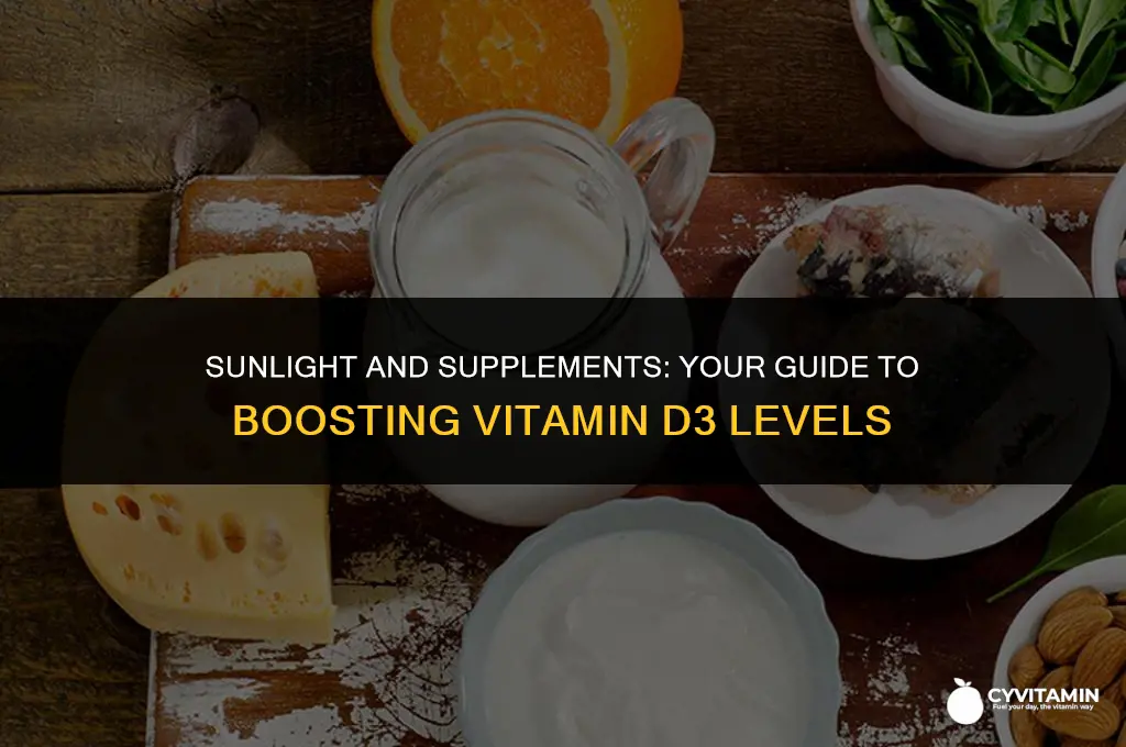 how to gain vitamin d3