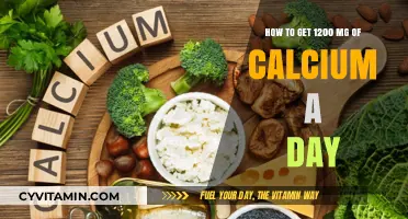 Boost Your Calcium Intake: A Daily Guide to 1200 mg