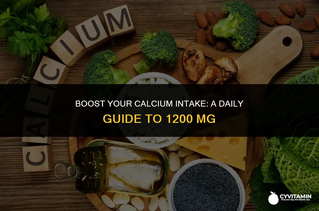 how to get 1200 mg of calcium a day