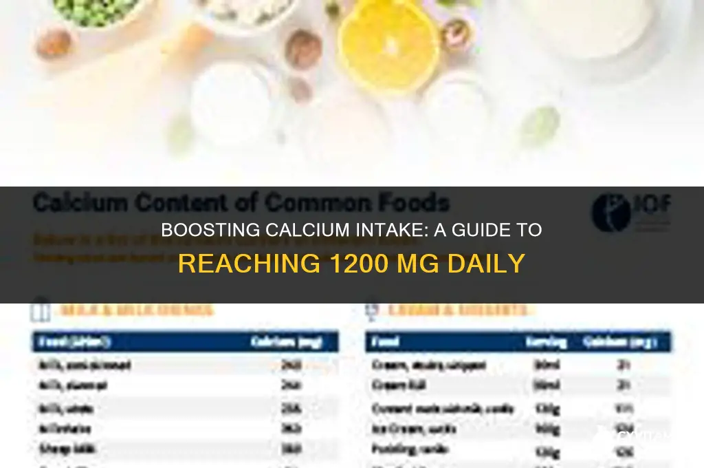 how to get 1200 mg of calcium