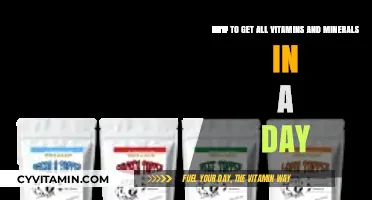 Daily Nutrient Boost: A Guide to Getting All Your Vitamins and Minerals