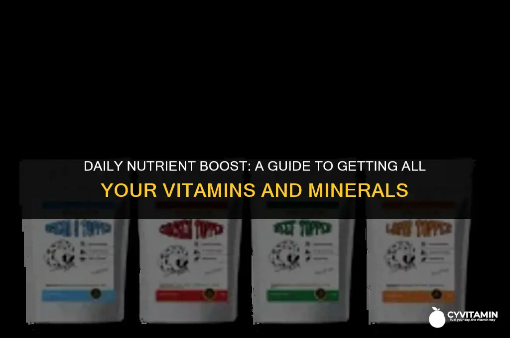 how to get all vitamins and minerals in a day