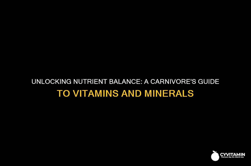 how to get all vitamins and minerals on carnivore diet