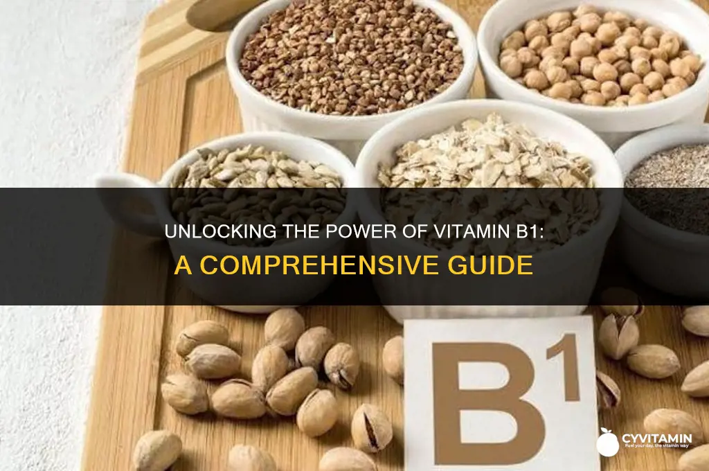 how to get b1 vitamin