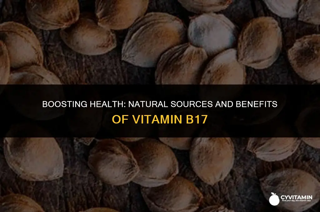 how to get b17 vitamin