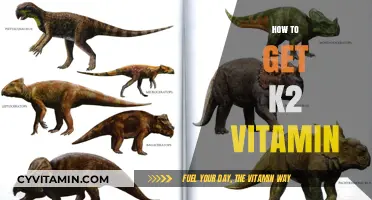 Unlocking the Secrets of Vitamin K2: A Comprehensive Guide