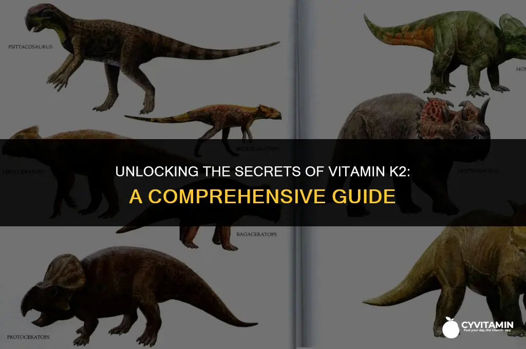 how to get k2 vitamin
