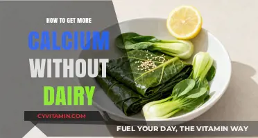 Boosting Calcium Intake: Dairy-Free Diet Tips and Tricks