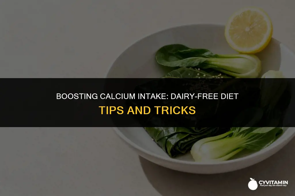 how to get more calcium without dairy