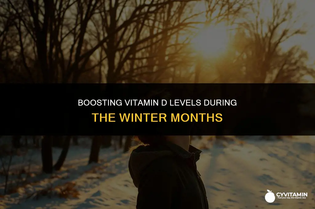 how to get more vitamin d in winter
