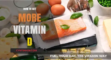 Boosting Your Vitamin D Levels: A Comprehensive Guide