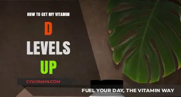 Boosting Vitamin D: A Comprehensive Guide to Optimal Levels