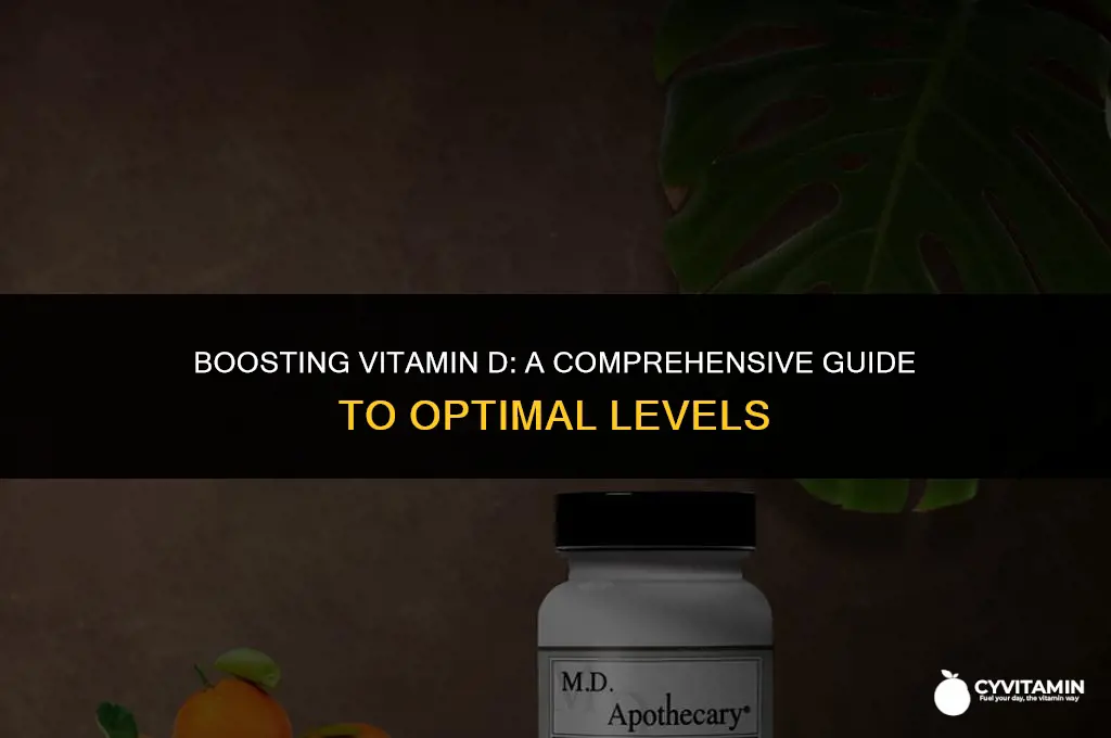 how to get my vitamin d levels up