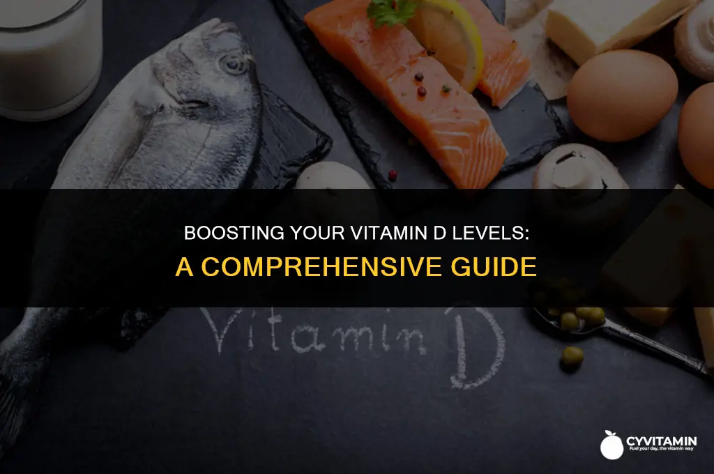 how to get vit d