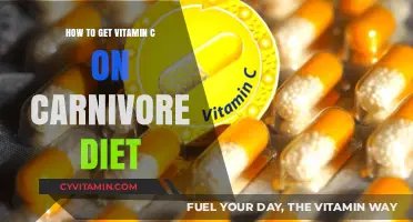 Boosting Vitamin C Intake on a Carnivore Diet: A Comprehensive Guide