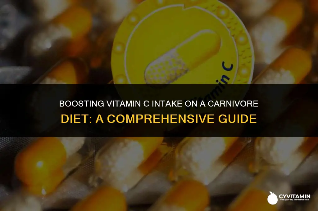 how to get vitamin c on carnivore diet