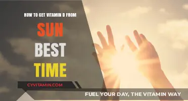 Sunlight and Vitamin D: Optimal Timing for Healthy Sun Exposure