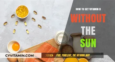 Boosting Vitamin D Levels: Sun-Free Strategies for Optimal Health