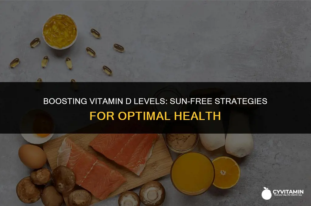 how to get vitamin d without the sun