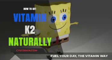 Boost Your Health: Natural Sources of Vitamin K2 Revealed