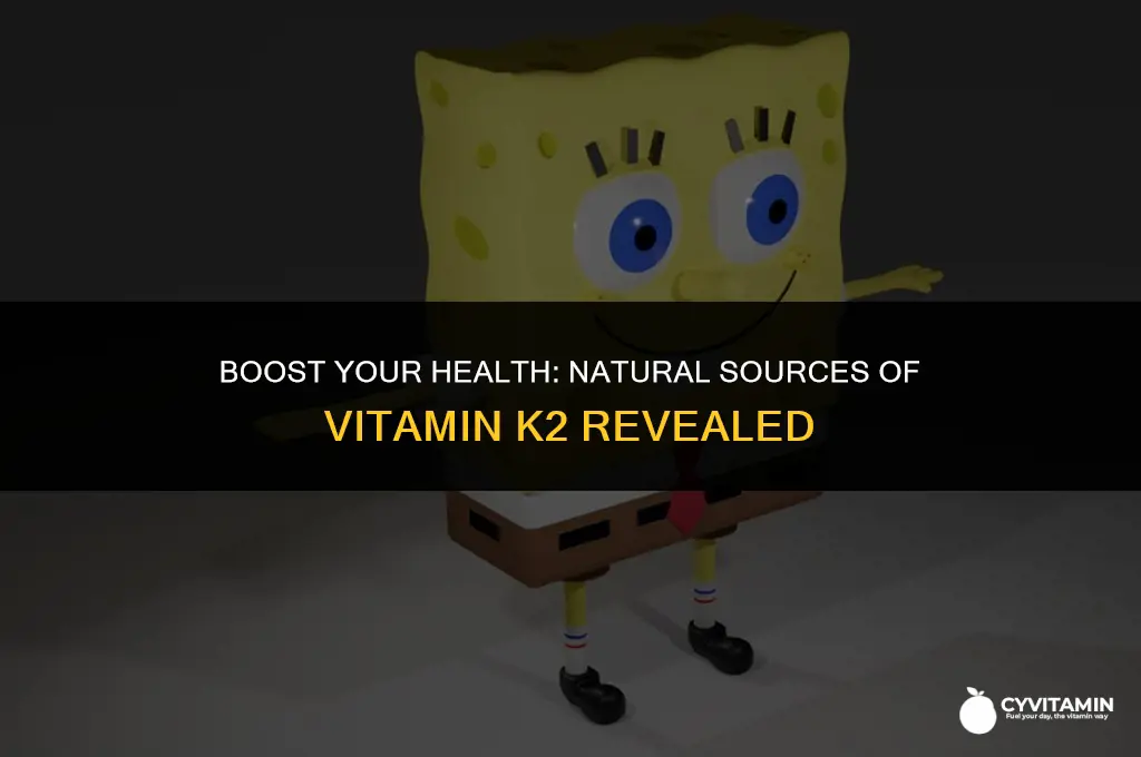 how to get vitamin k2 naturally