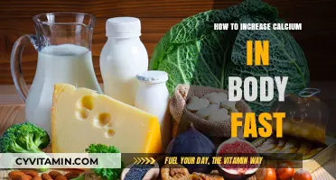 Boost Your Calcium Levels Quickly: A Comprehensive Guide