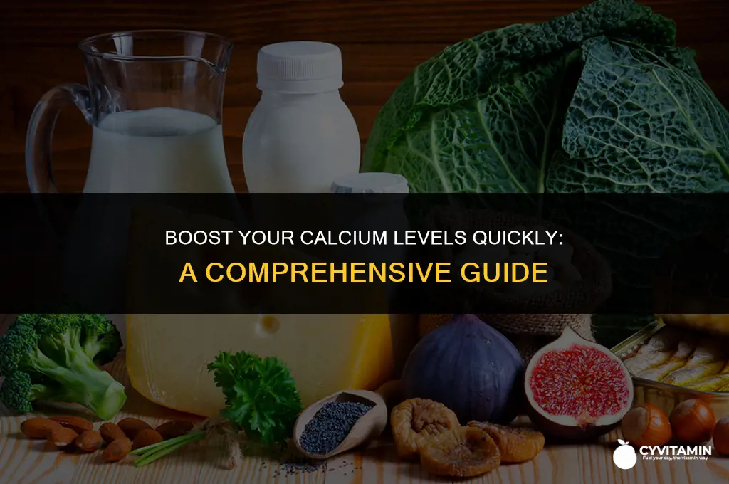 how to increase calcium in body fast