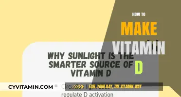 Sunlight to Supplement: A Guide on Boosting Your Vitamin D Levels