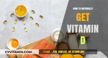 Sunlight and Nutrition: Your Guide to Naturally Boosting Vitamin D