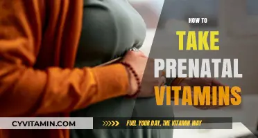 Nourishing Beginnings: A Guide to Taking Prenatal Vitamins