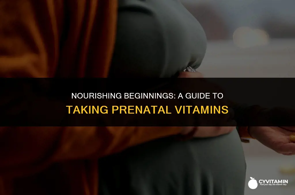 how to take prenatal vitamins