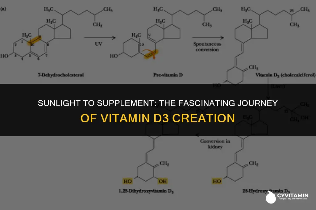 how vitamin d3 is made