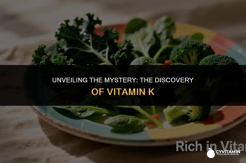 how was vitamin k discovered