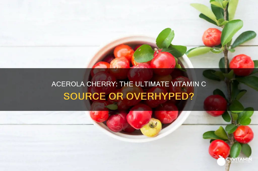 is acerola cherry the best vitamin c