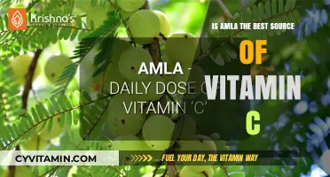 Amla: The Ultimate Vitamin C Powerhouse or Just a Myth?