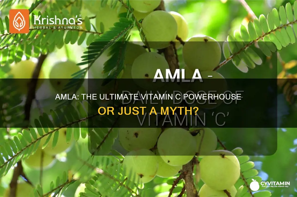 is amla the best source of vitamin c